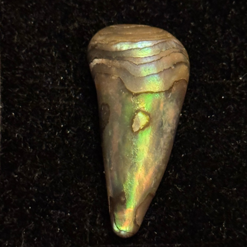 Extremely Rare & Unique Heavy Large Abalone Pearl